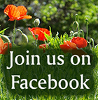 Join us on Facebook