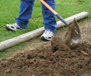 digging in the dirt