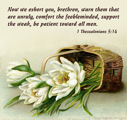 1 Thessalonians 5:14 Now we exhort you, brethren, warn them that are unruly, comfort the feebleminded, support the weak, be patient toward all men.