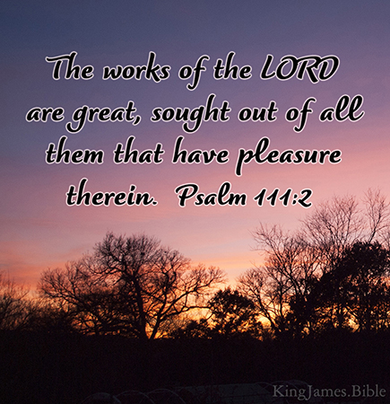 Psalm 111:2 (KJV)  The works of the LORD are great, sought out of all them that have pleasure therein.