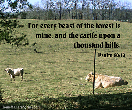 Psalm 50:10 (KJV)  For every beast of the forest is mine, and the cattle upon a thousand hills.