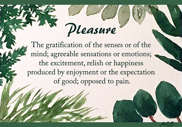 Pleasure  - The gratification of the senses or of the mind; agreeable sensations or emotions; the excitement, relish or happiness produced by enjoyment or the expectation of good; opposed to pain.